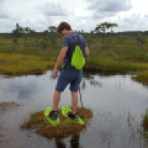 A little islet in the swamp